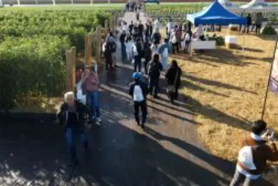 Horticultura em alta: em meio a lançamentos e aprendizados, público do Open Field Day da Agristar cresce mais de 38%