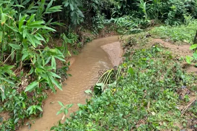 SAMA incentiva cadastramento no Programa Nascentes para fins de restauração ecológica