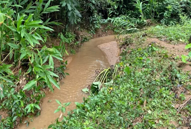 SAMA incentiva cadastramento no Programa Nascentes para fins de restauração ecológica