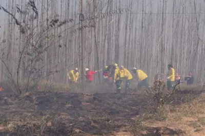 BOMBEIROS VOLUNTÁRIOS DE SANTO ANTÔNIO DE POSSE PARTICIPAM DE TREINAMENTO DE COMBATE A INCÊNDIOS