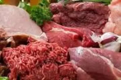 Conab estima produção de carnes ultrapassando 29 milhões de toneladas, maior nível na série histórica