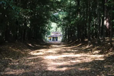 Meio ambiente prorroga abertura do horto Florestal aos finais de semana para o dia 15