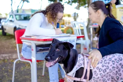 Domingo tem ponto de vacina contra raiva na Feira Livre de Artur Nogueira