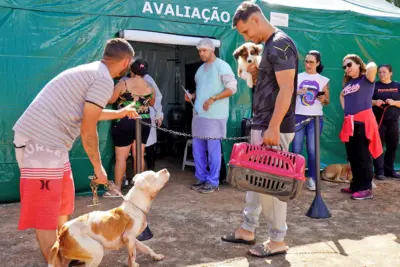 Programa de Castração Animal tem vagas disponíveis para o final de semana