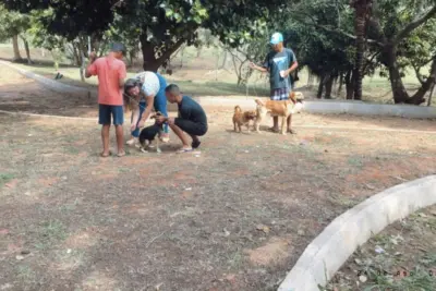 Prefeitura leva ponto de vacina contra raiva ao Sacilotto nesta quinta