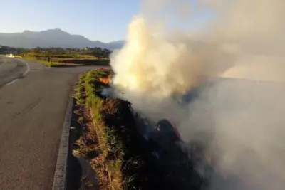 SP Sem Fogo: atenção redobrada para o risco de incêndios florestais