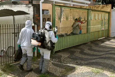 Saúde de Campinas divulga novo alerta contra a dengue e pede ajuda da população