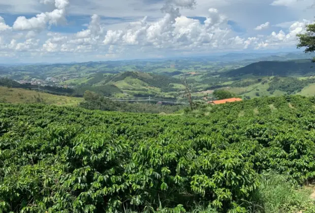 ABIC realiza workshop na região para falar sobre novas regras para o café torrado