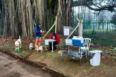 Prefeitura leva ponto de vacina contra raiva ao bairro da Parada nesta quinta