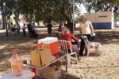 Prefeitura leva ponto de vacina contra raiva ao Parque das Flores e Torre da Rádio nesta sexta