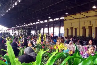 Festival de Orquídeas e Flores é atração na Estação Cultura