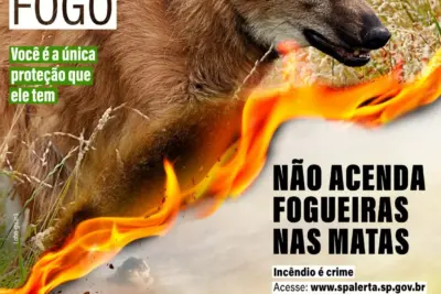SP Sem Fogo implanta 1.500 km de aceiros para evitar propagação de focos   dentro das Unidades de Conservação