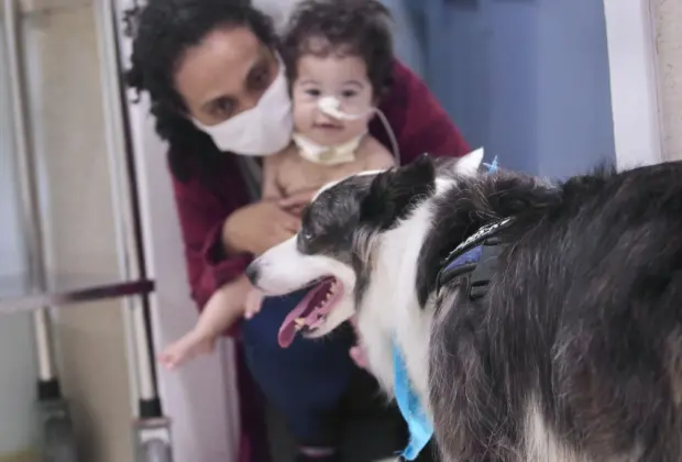 Cães terapeutas visitam crianças internadas no Hospital Mário Gattinho