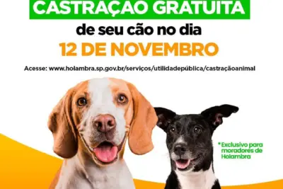 2ª ETAPA DE MUTIRÃO DE CASTRAÇÃO DE CÃES