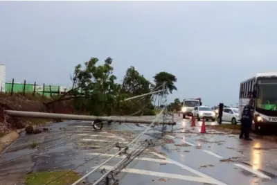 Forte Chuva Causa Queda de Postes na Rodovia Prefeito Aziz Lian em Holambra