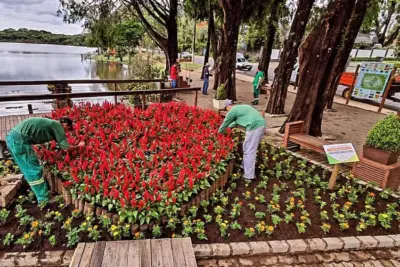  Renovação do Canteiro do Deck do Amor: Um Ponto Turístico que Encanta Corações