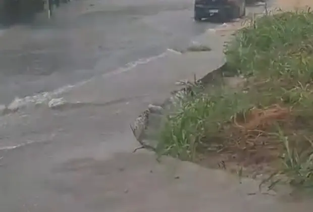 Chuvas Causam Alagamentos nas Principais Avenidas e Bairros de Artur Nogueira