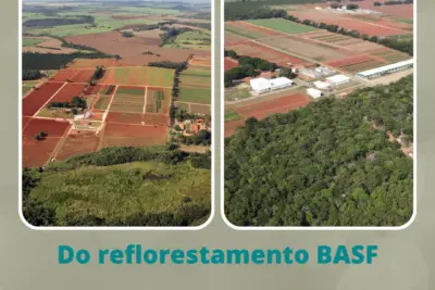  Projeto Mata Viva da BASF: Um Passeio Educativo pela Mata Atlântica Reflorestada