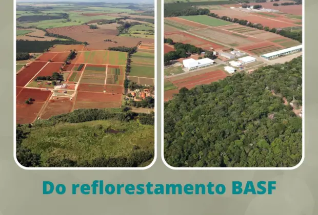  Projeto Mata Viva da BASF: Um Passeio Educativo pela Mata Atlântica Reflorestada