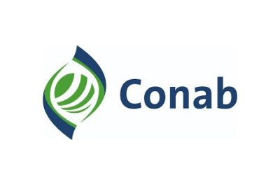 Conab promove novo leilão para apoio à comercialização de borracha natural nesta sexta (1º)