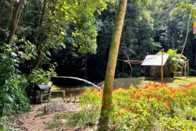 Prefeitura Municipal investe na reforma do Zoo-Bosque de Pedreira