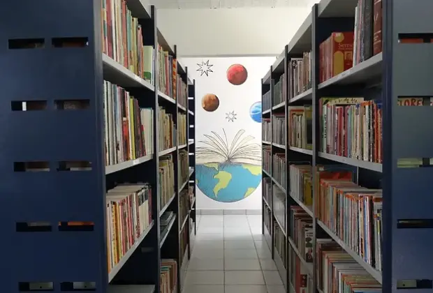 ONG de Paulínia recebe doação de livros para projeto social que constrói bibliotecas infantis