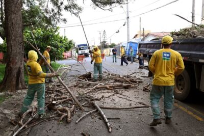 Chuva na tarde desta sexta-feira causa queda de oito árvores em Campinas
