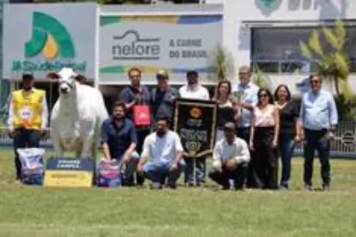 Casa Branca faz a Grande Campeã e é Melhor Expositor Nelore da Expoinel