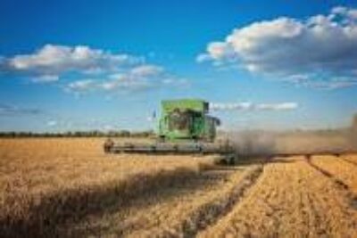 Conab atualiza a estimativa da safra de grãos 2023/2024, que deve chegar a 316,7 milhões de toneladas