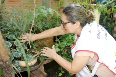 SAÚDE REALIZA MUTIRÃO CONTRA A DENGUE NO NOVA JAGUARIÚNA NESTE SÁBADO