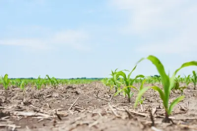 Produtor rural deve ficar ainda mais atento com as oscilações do clima