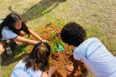 Prefeitura encerrará ano letivo de 2023 com plantio de mudas em Artur Nogueira