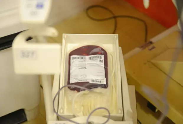 Queda na doação de sangue impacta nas cirurgias do Hospital Mário Gatti