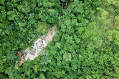 Araribá Jardim Botânico recebe evento internacional de estímulo à biodiversidade de florestas em Amparo (SP)