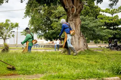 Fiscalização de Posturas notifica proprietários para limpeza de terrenos em Artur Nogueira