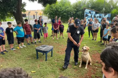 1° edição da Colônia de Férias reúne mais de 100 crianças por dia e tem excelente avaliação