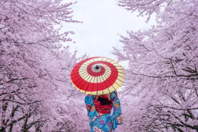 Mostra Japão em Jaguariúna: Festival Japonês Promete Experiência Cultural Única