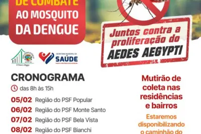 SEMANA DE COMBATE AO MOSQUITO DA DENGUE