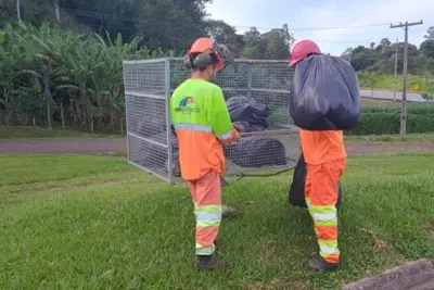 Renovias intensifica cronograma de limpeza para evitar proliferação do mosquito da dengue