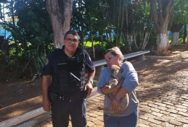 Guarda Civil Municipal de Santo Antônio de Posse Resgata Cachorro Preso em Bueiro