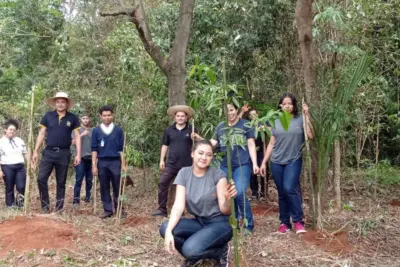 Mata de Santa Genebra planta 50.520 mudas de árvores nativas em 3 anos