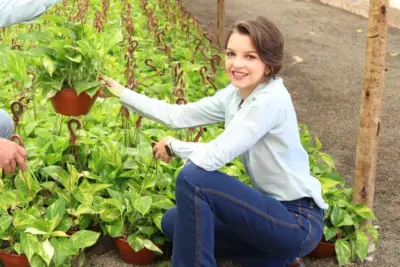 Cresce o número de mulheres na produção de flores e plantas ornamentais