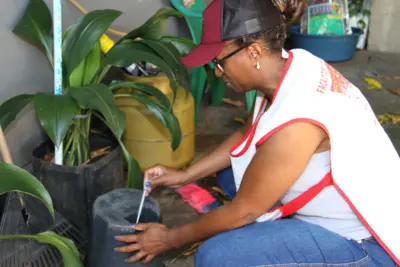 PREFEITURA DE JAGUARIÚNA DECRETA EMERGÊNCIA EM SAÚDE CONTRA A DENGUE