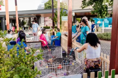 Parque Dom Pedro terá apresentação de cães da Guarda Municipal neste sábado e domingo