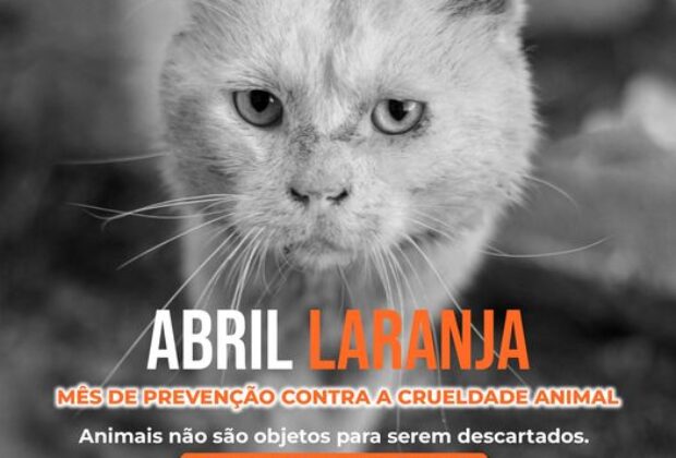 Abril Laranja: Mês de Prevenção contra a Crueldade Animal