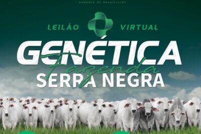 Fazenda Serra Negra promove leilão virtual com a oferta de 150 animais Nelore