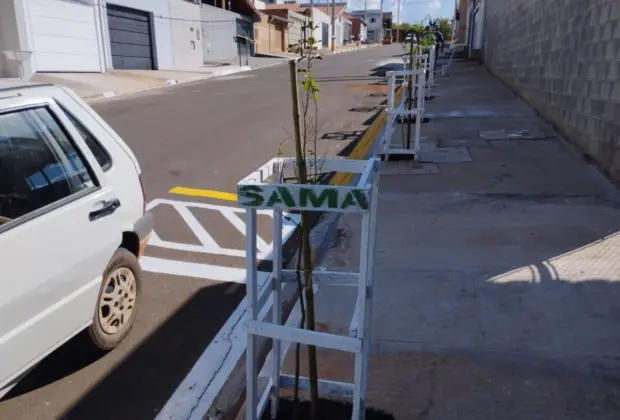 SAMA celebra o Dia Internacional da Biodiversidade com ação de plantio de árvores nos espaços públicos de Itapira