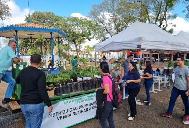 Prefeitura distribuirá mais de 300 mudas de plantas nesta sexta em Artur Nogueira