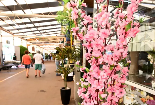 Mercado de Flores da Ceasa abre no feriado desta terça, 9 de julho, e pode ser boa opção de lazer