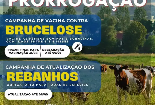 Prorrogada Campanha de Vacina contra a Brucelose Bovina até o dia 31 de agosto